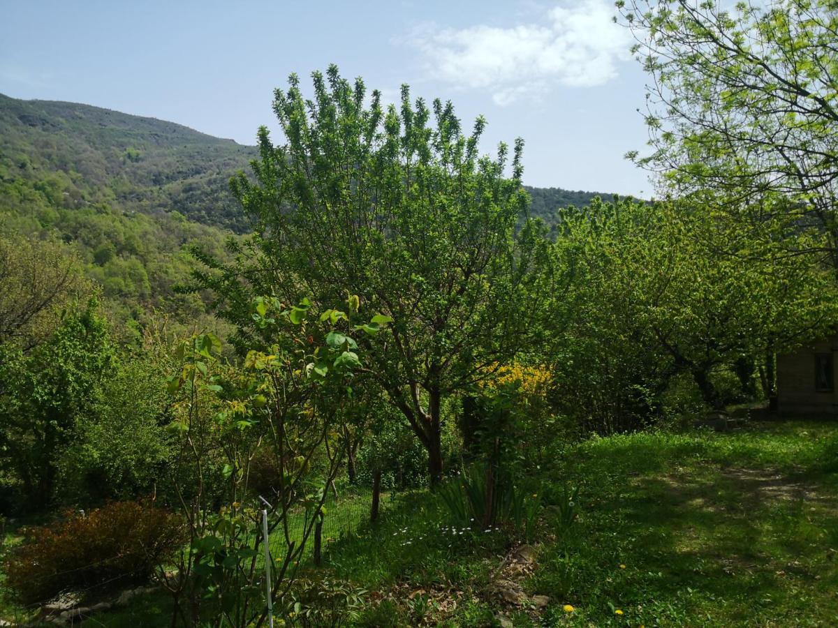 Font-Fresca Location Villa Baillestavy Kültér fotó